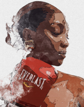 The Boxer